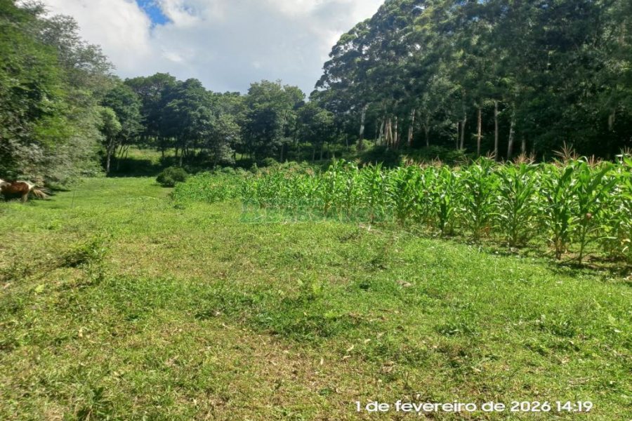 Terreno, no bairro Desvio Rizzo em Caxias do Sul para Comprar