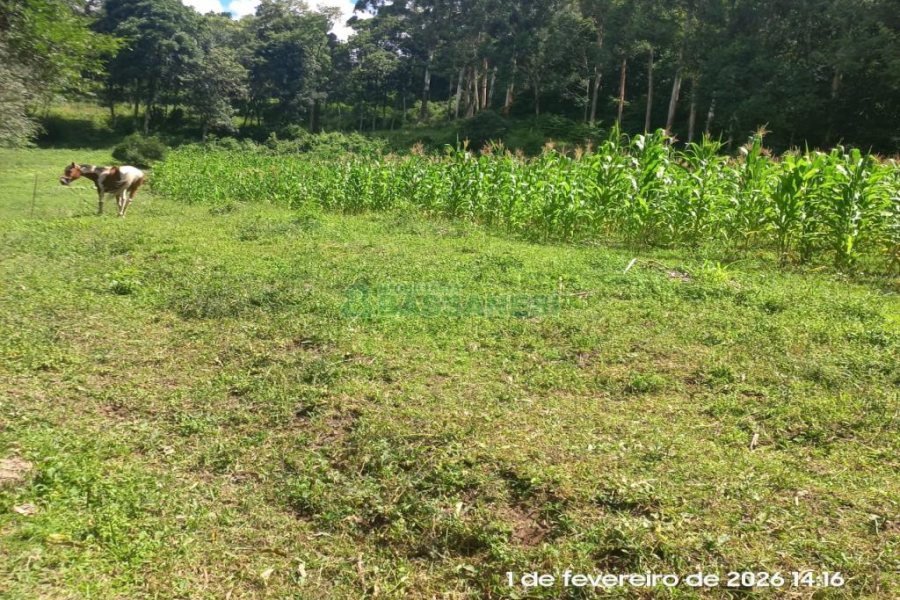 Terreno, no bairro Desvio Rizzo em Caxias do Sul para Comprar