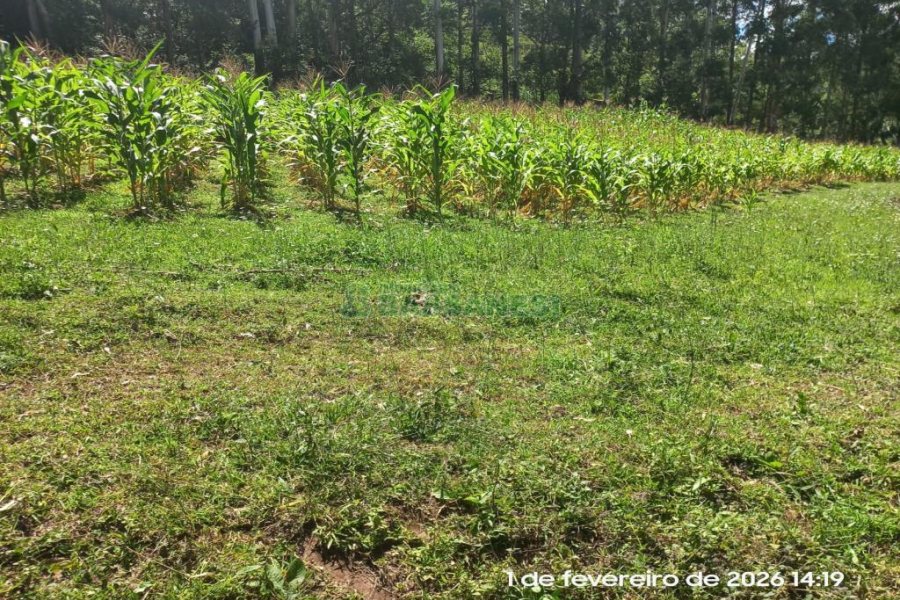 Terreno, no bairro Desvio Rizzo em Caxias do Sul para Comprar