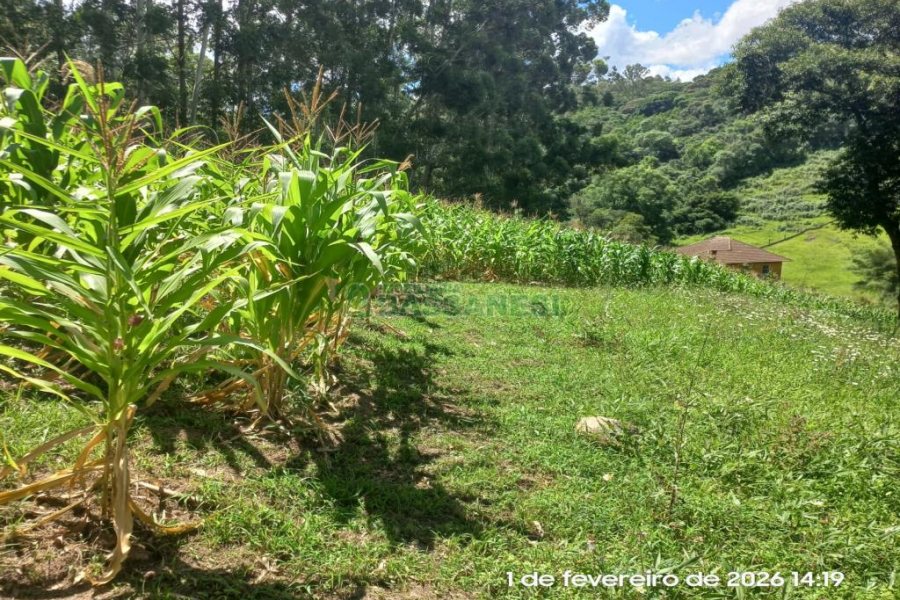Terreno, no bairro Desvio Rizzo em Caxias do Sul para Comprar