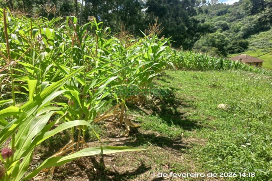 Terreno, no bairro Desvio Rizzo em Caxias do Sul para Comprar