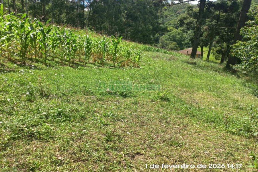 Terreno, no bairro Desvio Rizzo em Caxias do Sul para Comprar