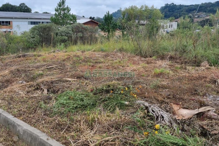 Terreno com 360m², no bairro Monte Bérico em Caxias do Sul para Comprar