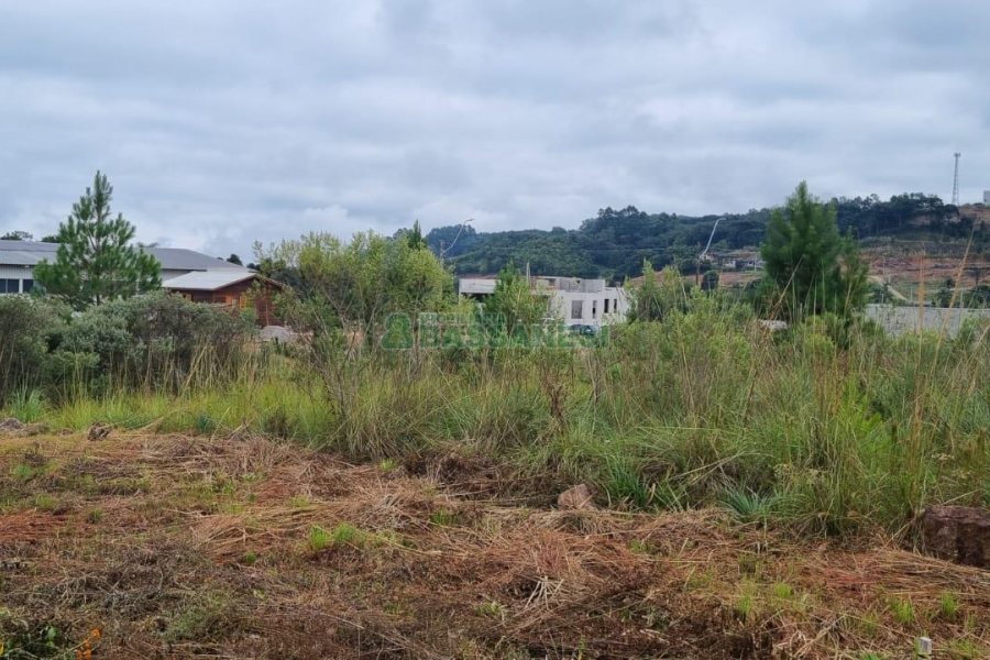 Terreno com 360m², no bairro Monte Bérico em Caxias do Sul para Comprar