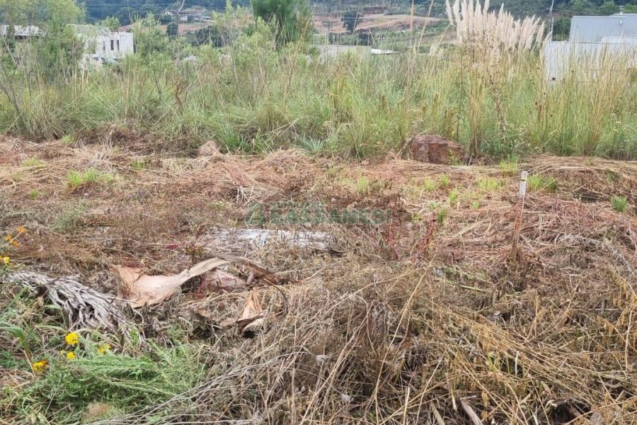 Terreno com 360m², no bairro Monte Bérico em Caxias do Sul para Comprar