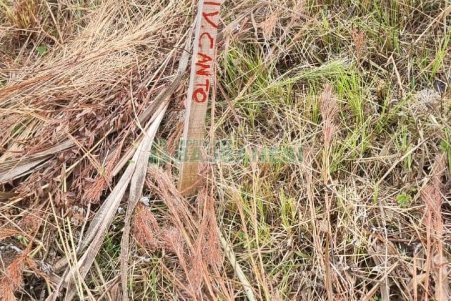 Terreno com 360m², no bairro Monte Bérico em Caxias do Sul para Comprar