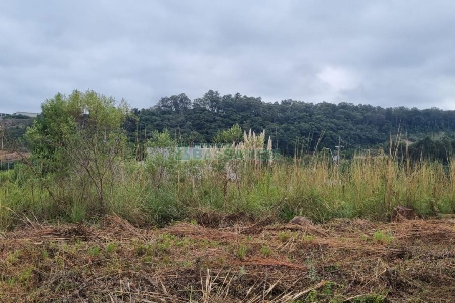 Terreno com 360m², no bairro Monte Bérico em Caxias do Sul para Comprar