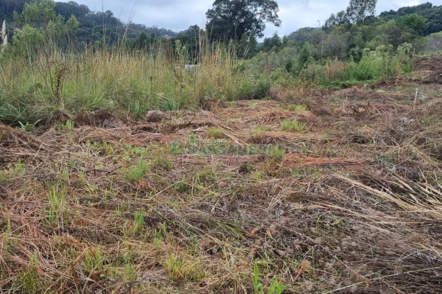 Terreno com 360m², no bairro Monte Bérico em Caxias do Sul para Comprar