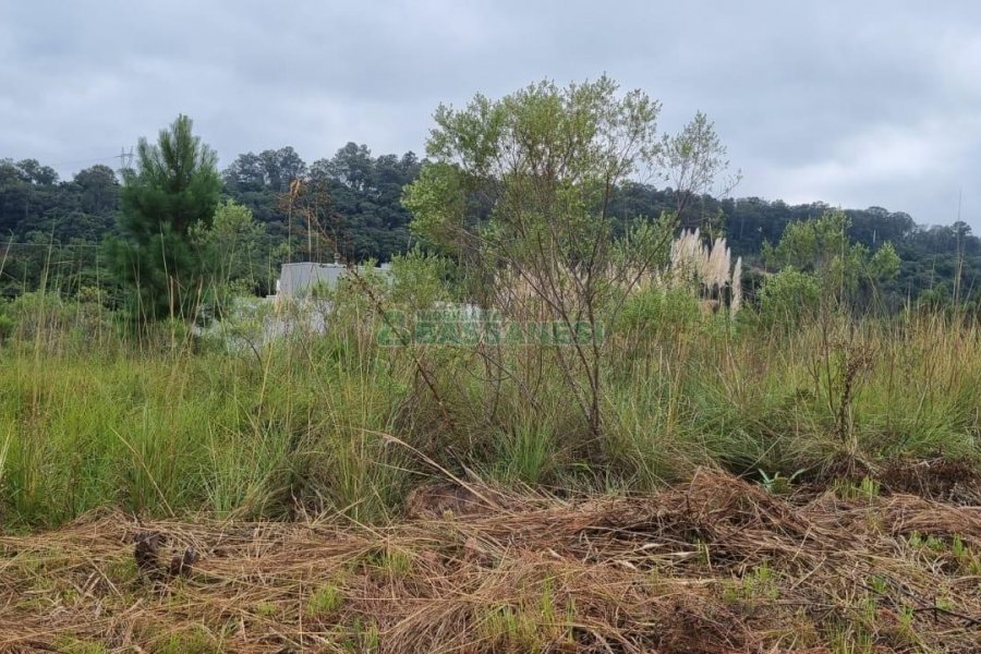 Terreno com 360m², no bairro Monte Bérico em Caxias do Sul para Comprar