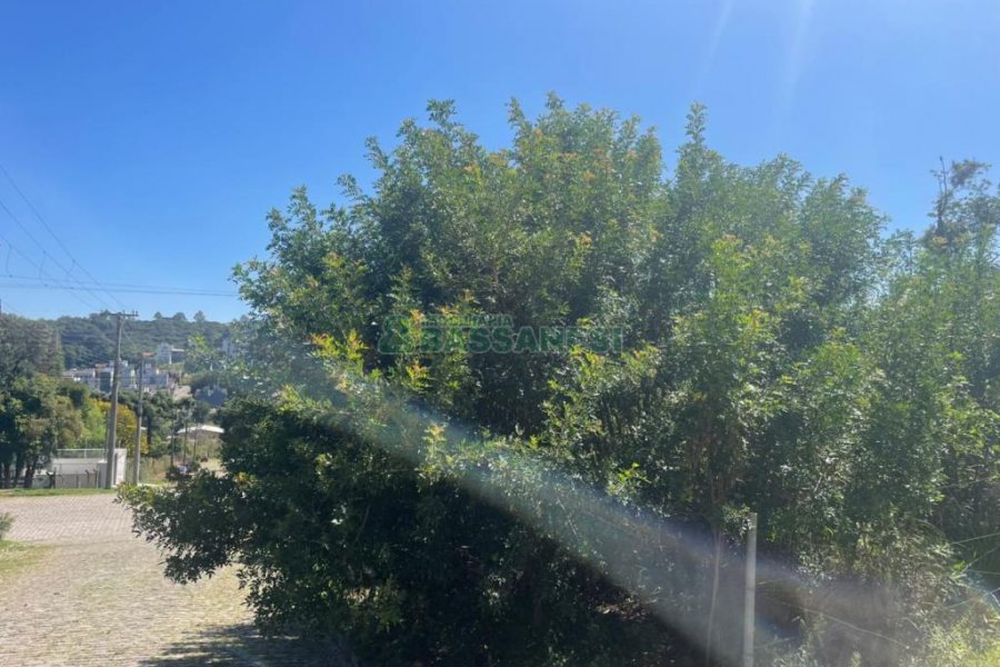 Terreno, no bairro Colina Sorriso em Caxias do Sul para Comprar