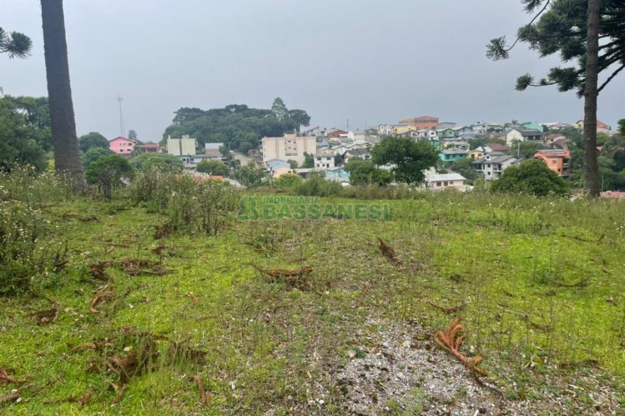 Terreno com 5526m², no bairro Esplanada em Caxias do Sul para Comprar