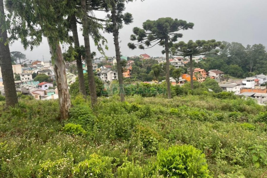 Terreno com 5526m², no bairro Esplanada em Caxias do Sul para Comprar