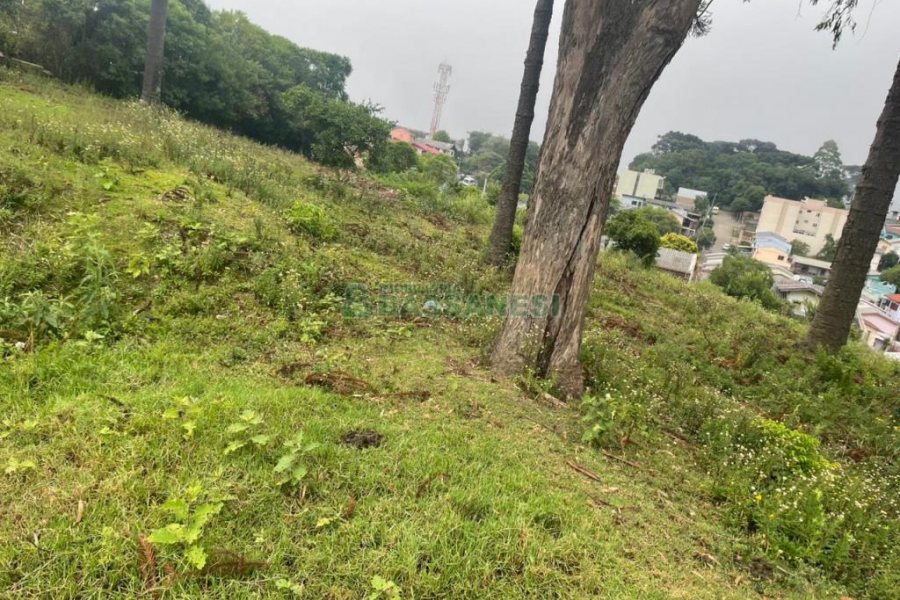 Terreno com 5526m², no bairro Esplanada em Caxias do Sul para Comprar