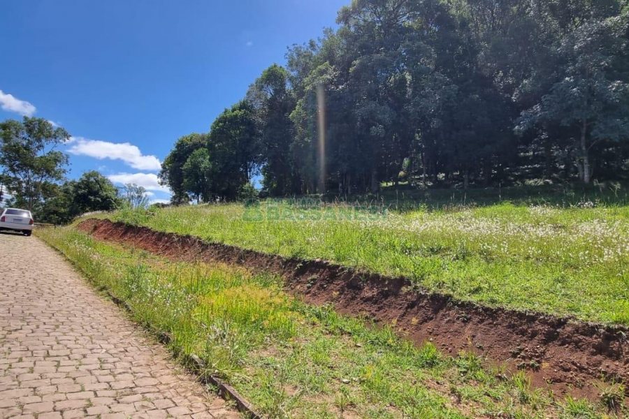 Terreno, no bairro Linha 40 em Caxias do Sul para Comprar