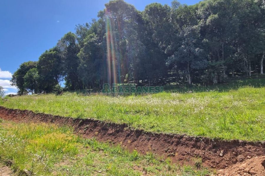Terreno, no bairro Linha 40 em Caxias do Sul para Comprar