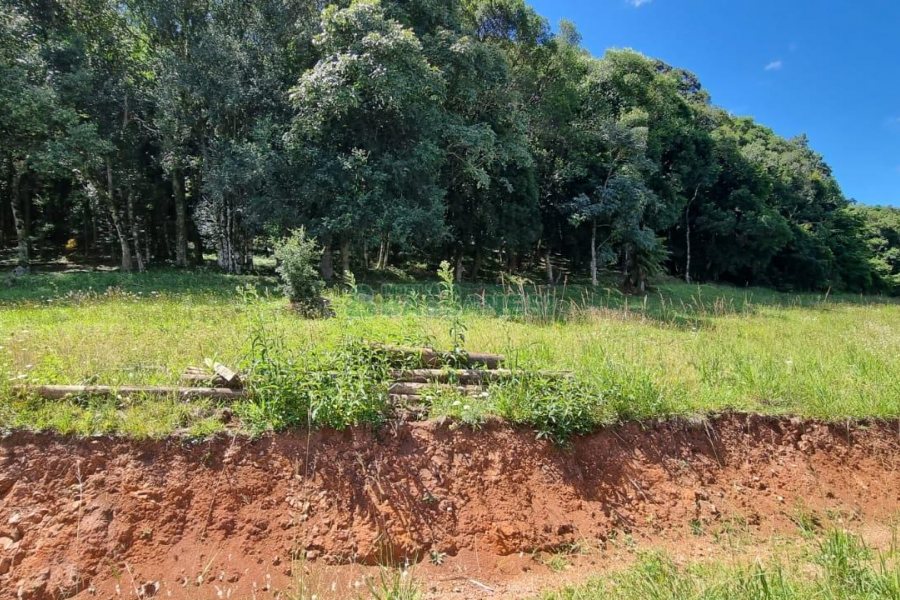 Terreno, no bairro Linha 40 em Caxias do Sul para Comprar