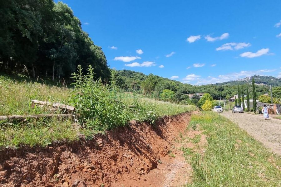 Terreno, no bairro Linha 40 em Caxias do Sul para Comprar