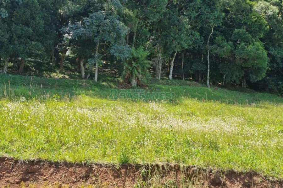 Terreno, no bairro Linha 40 em Caxias do Sul para Comprar
