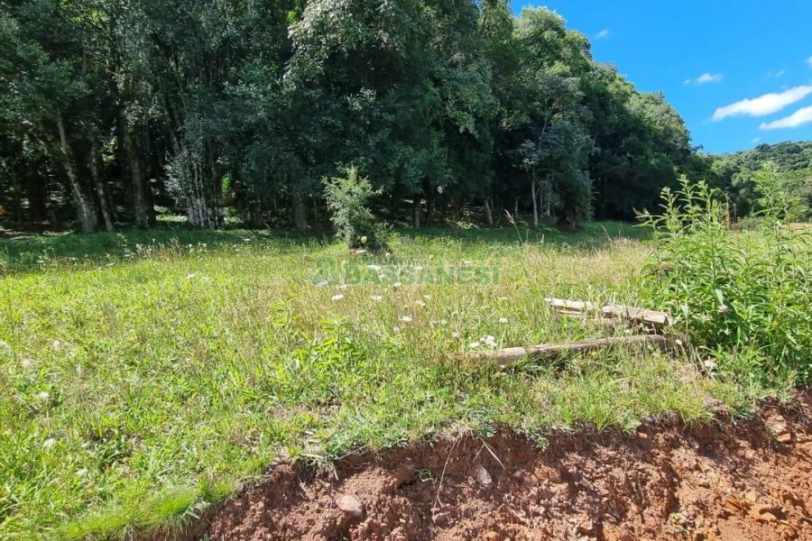 Terreno, no bairro Linha 40 em Caxias do Sul para Comprar
