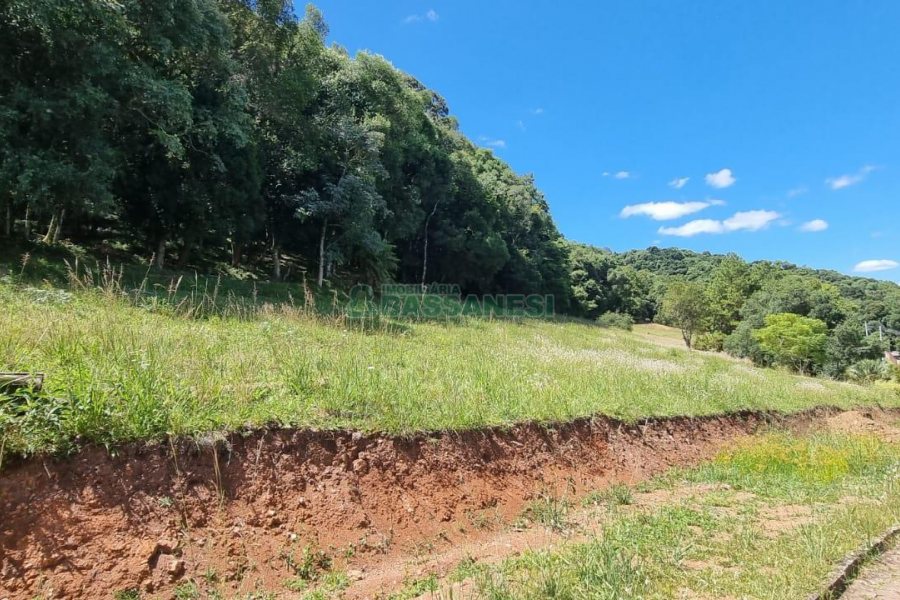 Terreno, no bairro Linha 40 em Caxias do Sul para Comprar