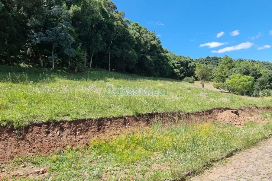 Terreno, no bairro Linha 40 em Caxias do Sul para Comprar