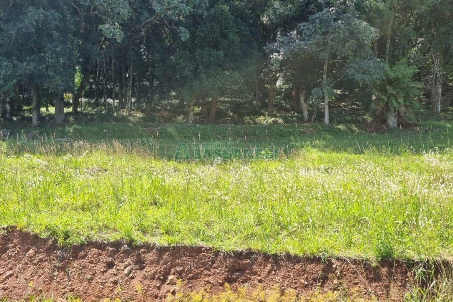 Terreno, no bairro Linha 40 em Caxias do Sul para Comprar