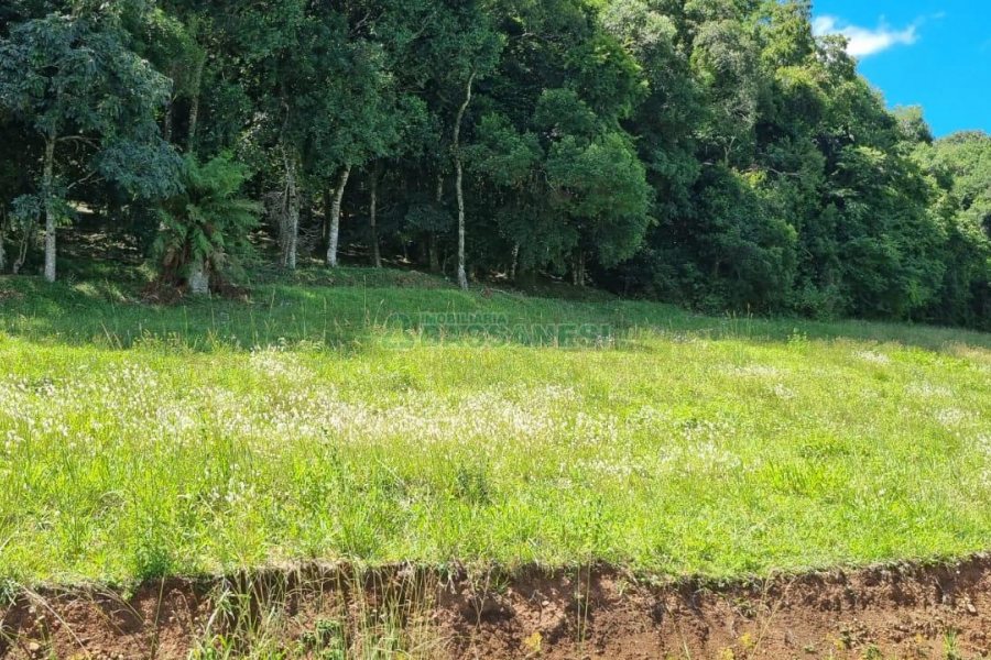 Terreno, no bairro Linha 40 em Caxias do Sul para Comprar