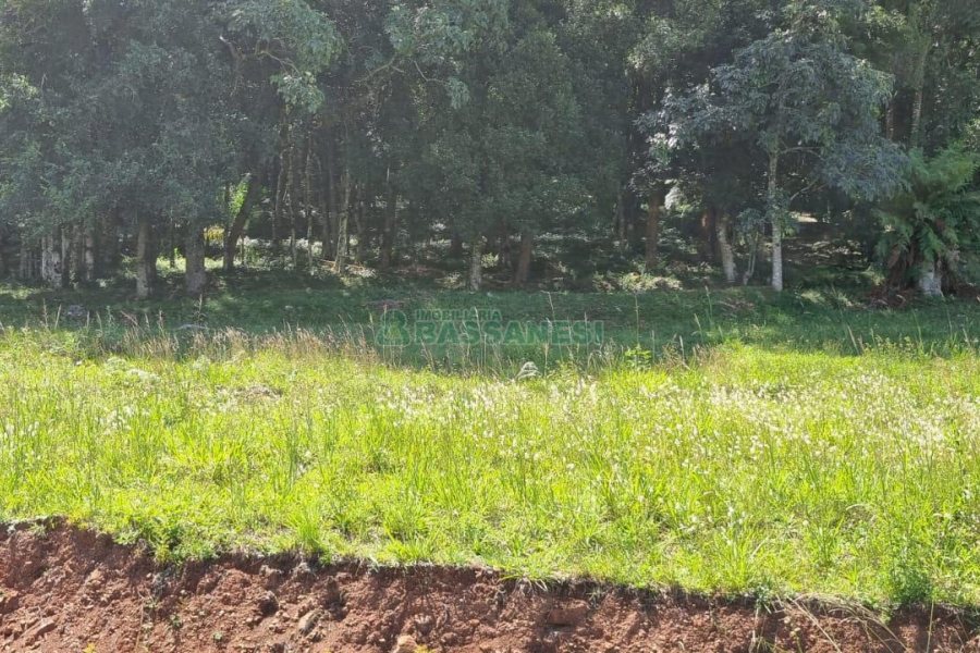 Terreno, no bairro Linha 40 em Caxias do Sul para Comprar