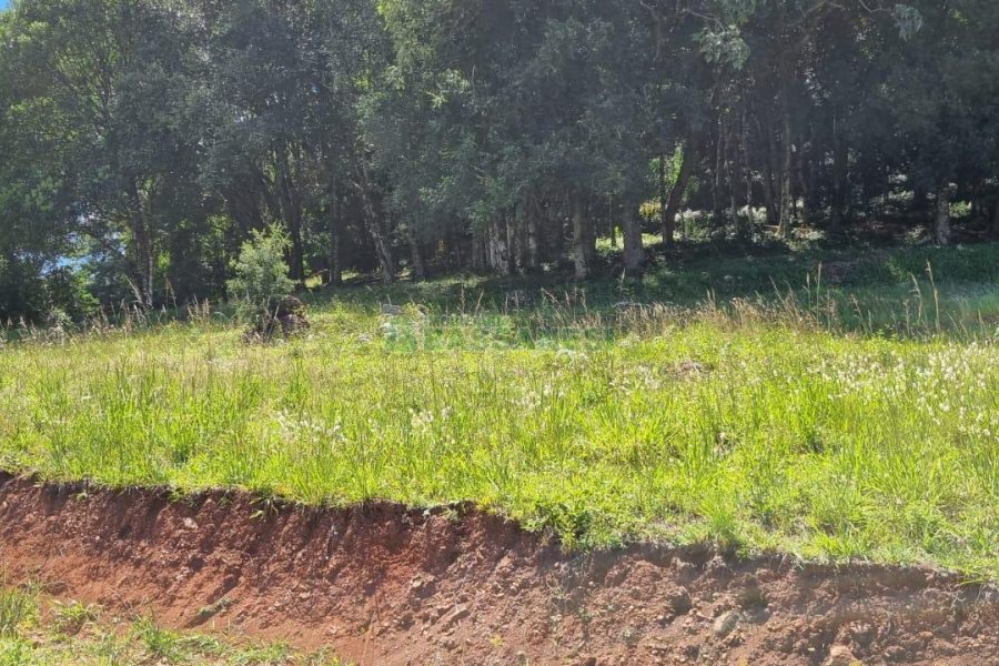 Terreno, no bairro Linha 40 em Caxias do Sul para Comprar