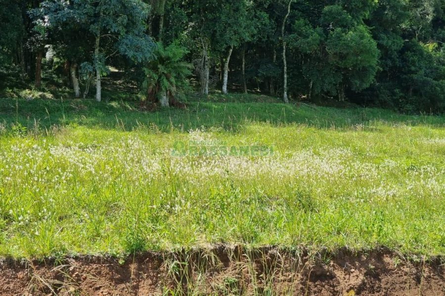 Terreno, no bairro Linha 40 em Caxias do Sul para Comprar