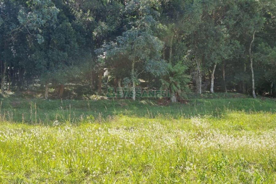 Terreno, no bairro Linha 40 em Caxias do Sul para Comprar