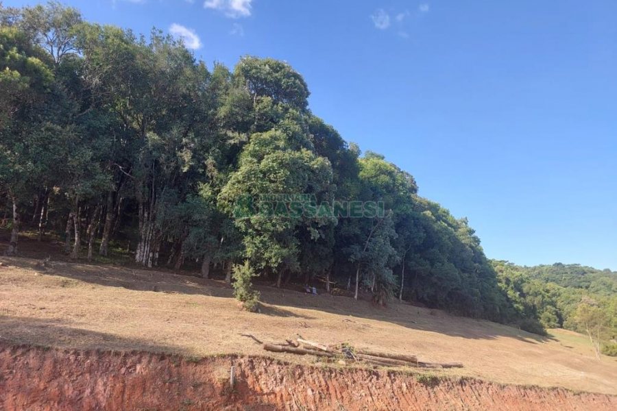 Terreno, no bairro Linha 40 em Caxias do Sul para Comprar