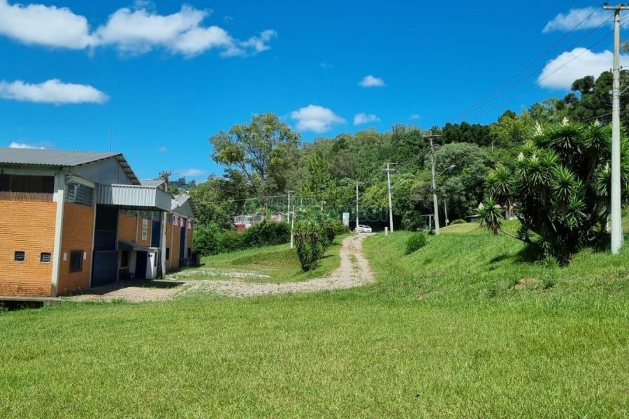Pavilhão com 2100m², no bairro Linha 40 em Caxias do Sul para Comprar