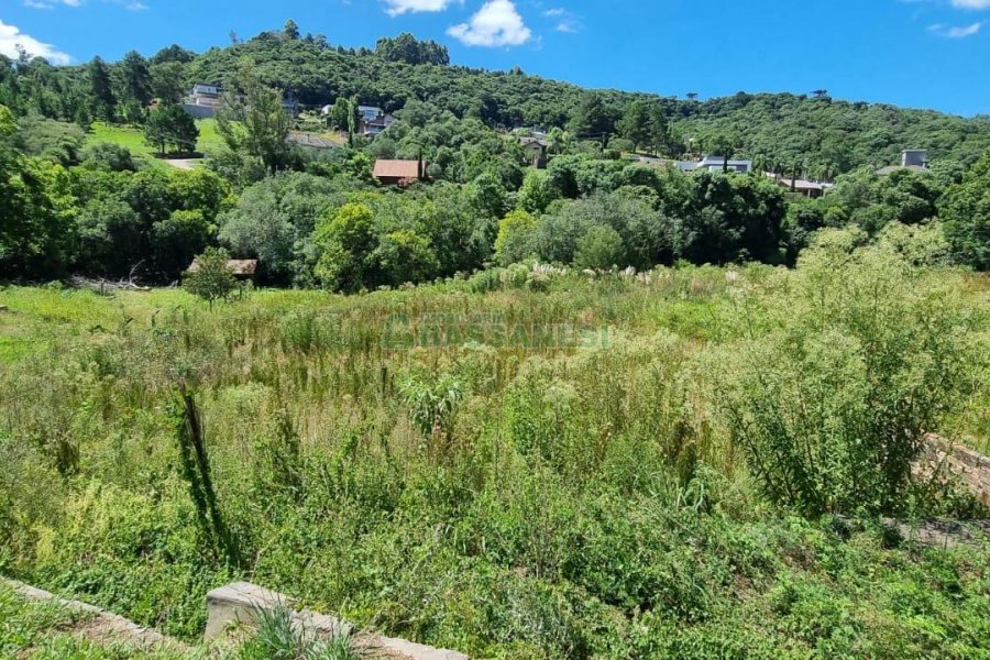Terreno, no bairro Linha 40 em Caxias do Sul para Comprar