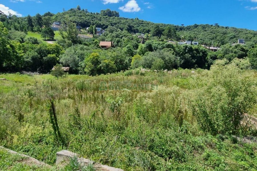 Terreno, no bairro Linha 40 em Caxias do Sul para Comprar