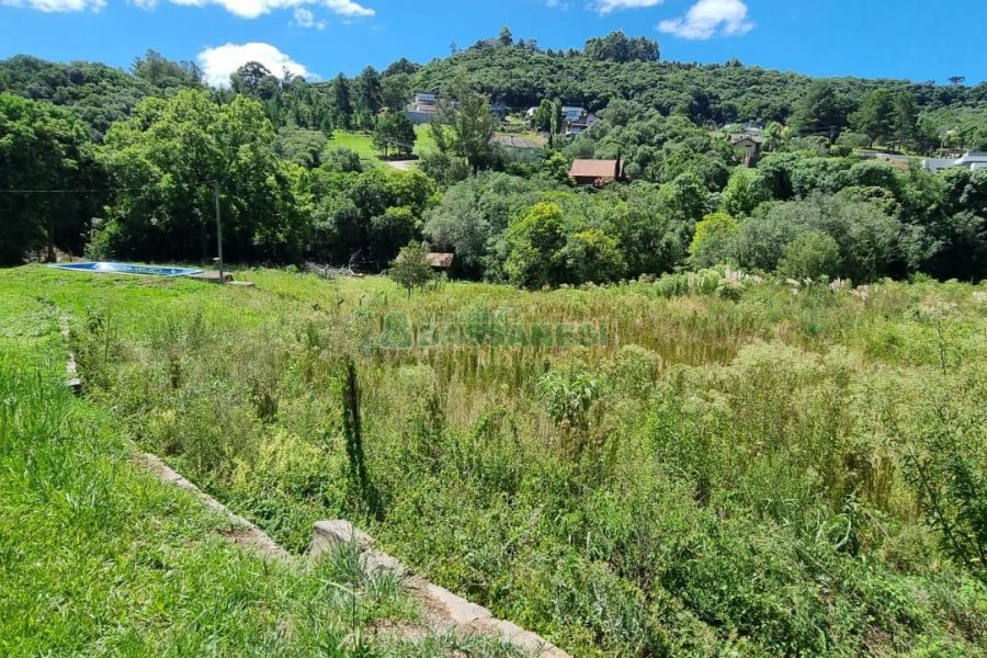 Terreno, no bairro Linha 40 em Caxias do Sul para Comprar