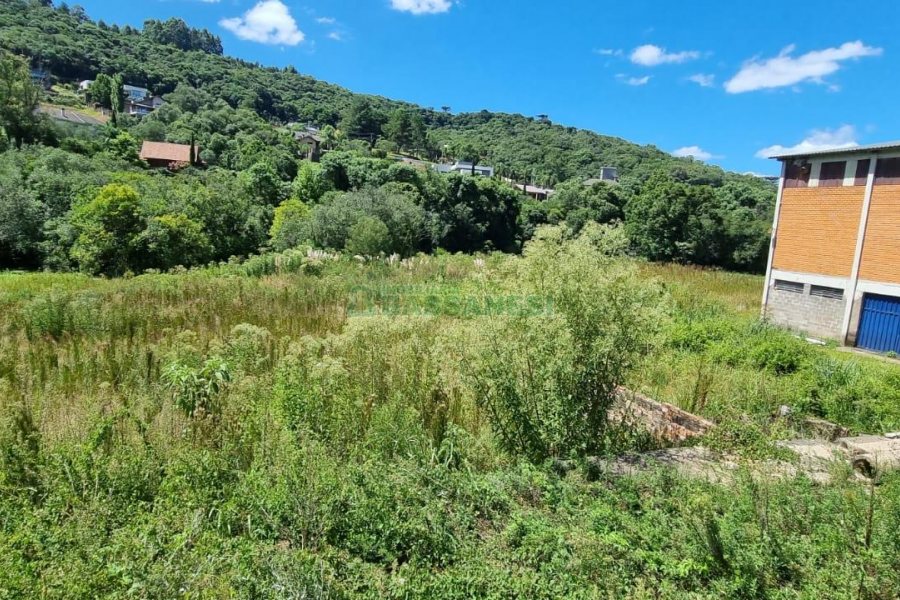 Terreno, no bairro Linha 40 em Caxias do Sul para Comprar