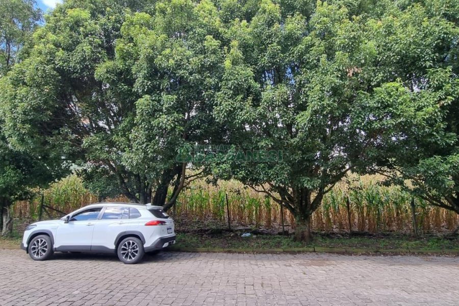 Terreno, no bairro São Luiz em Caxias do Sul para Comprar