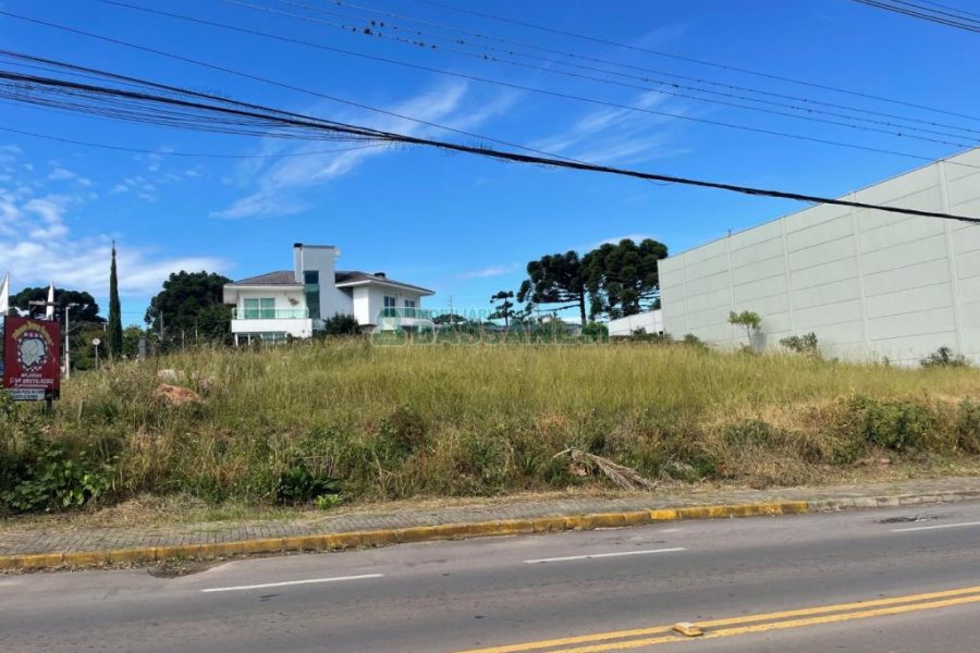 Terreno, no bairro São Luiz em Caxias do Sul para Comprar