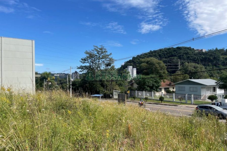 Terreno, no bairro São Luiz em Caxias do Sul para Comprar