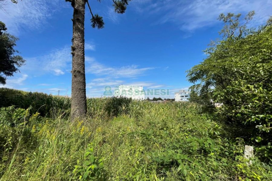 Terreno, no bairro São Luiz em Caxias do Sul para Comprar