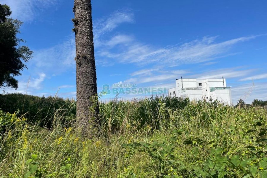 Terreno, no bairro São Luiz em Caxias do Sul para Comprar