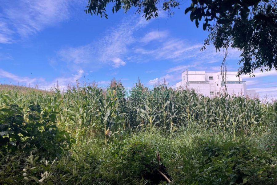 Terreno, no bairro São Luiz em Caxias do Sul para Comprar