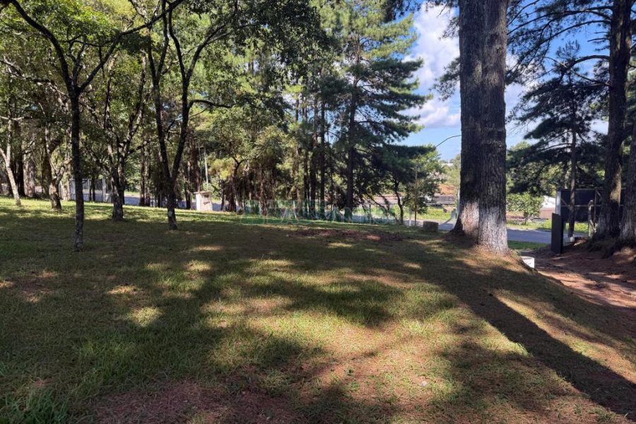 Terreno, no bairro Nossa Senhora do Rosário em Caxias do Sul para Comprar