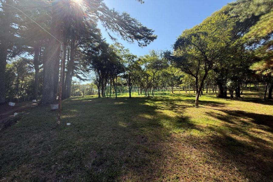 Terreno, no bairro Nossa Senhora do Rosário em Caxias do Sul para Comprar