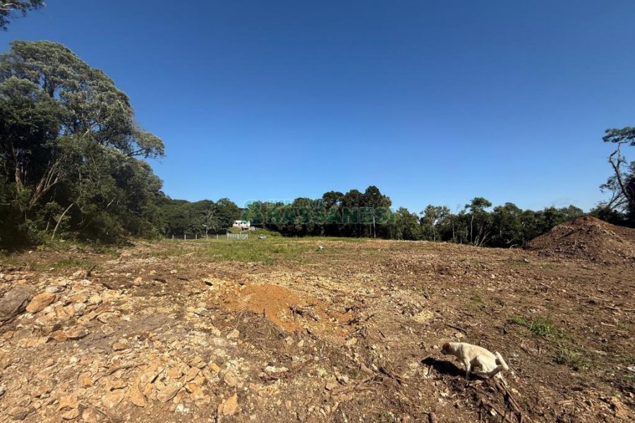 Terreno, no bairro Nossa Senhora do Rosário em Caxias do Sul para Comprar