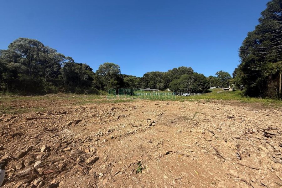 Terreno, no bairro Nossa Senhora do Rosário em Caxias do Sul para Comprar