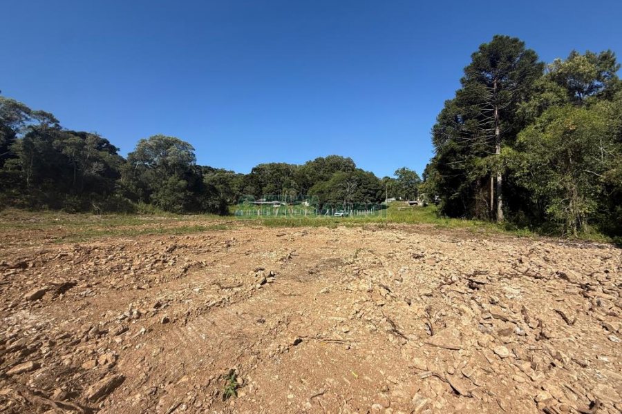 Terreno, no bairro Nossa Senhora do Rosário em Caxias do Sul para Comprar