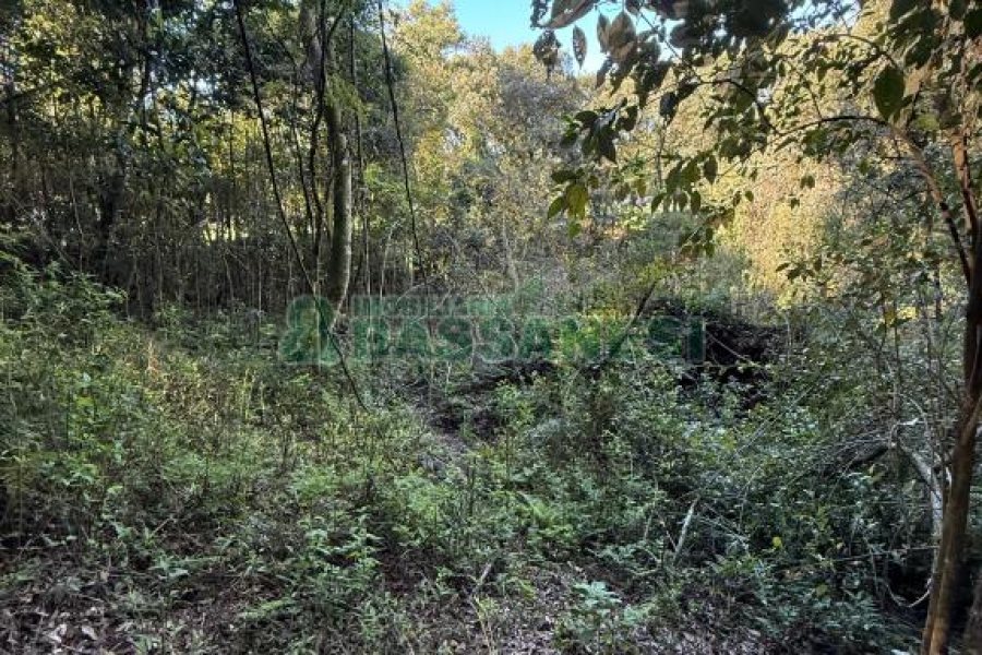 Terreno, no bairro Nossa Senhora do Rosário em Caxias do Sul para Comprar