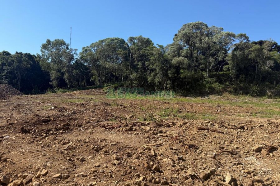 Terreno, no bairro Nossa Senhora do Rosário em Caxias do Sul para Comprar